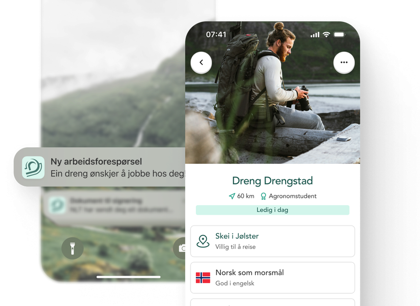 Profilseksjonen til en avløysar